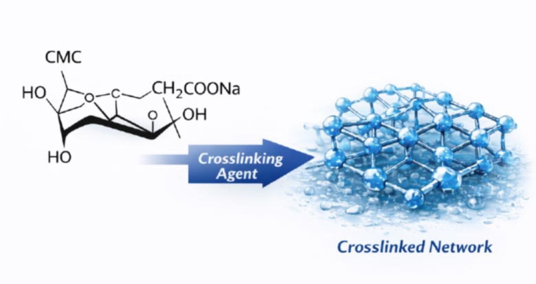 CMC-in-the-Production-of-Crosslinked-Sodium-Carboxymethyl-Cellulose