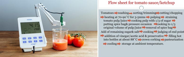 Application-of-CMC-in-Food-Sauces--How-to-Select-the-Right-Specification