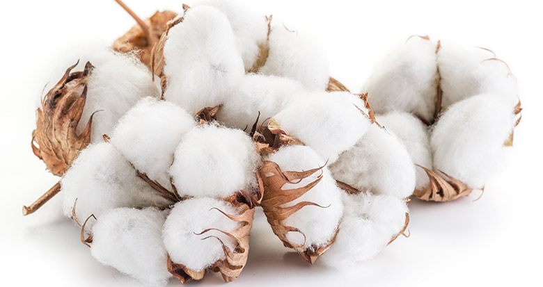 cotton-linter-for-Sodium-Carboxymethyl-Cellulose